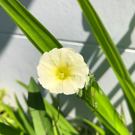 Bulan Villa Rayong Zewnętrze zdjęcie