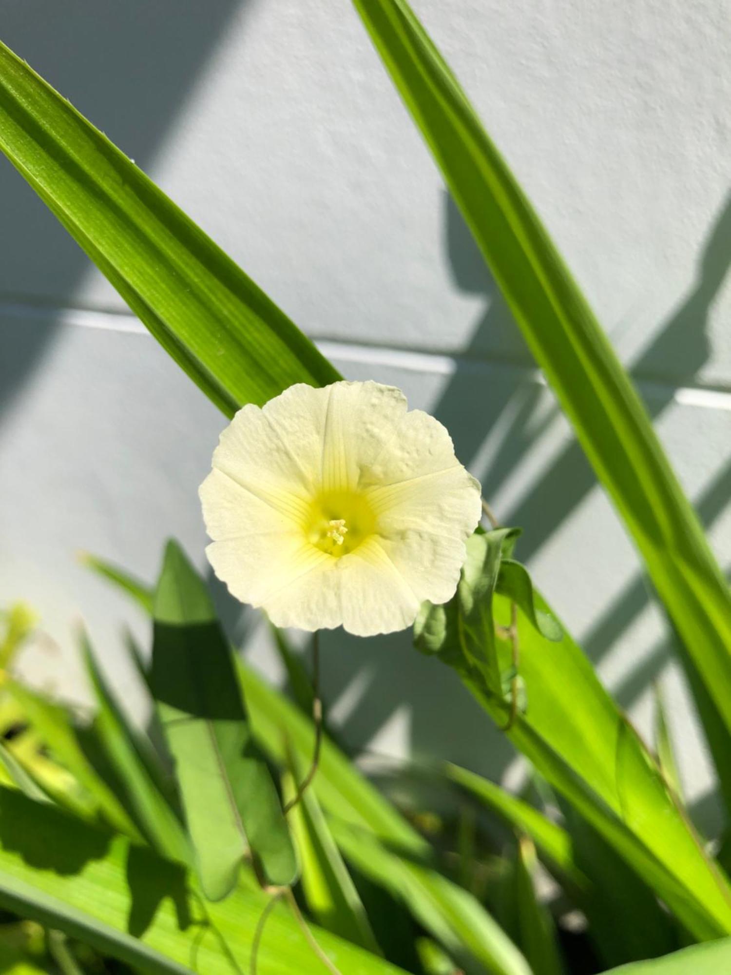 Bulan Villa Rayong Zewnętrze zdjęcie